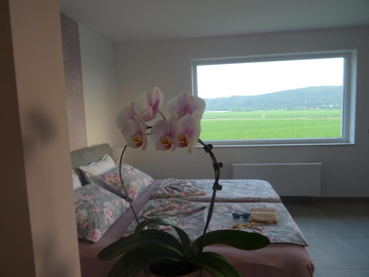 Val&Sol Apartments Sečovlje Екстериор снимка