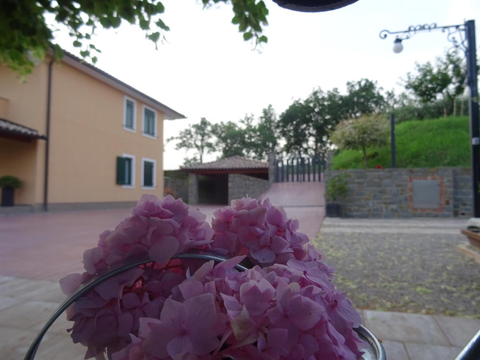 Val&Sol Apartments Sečovlje Екстериор снимка